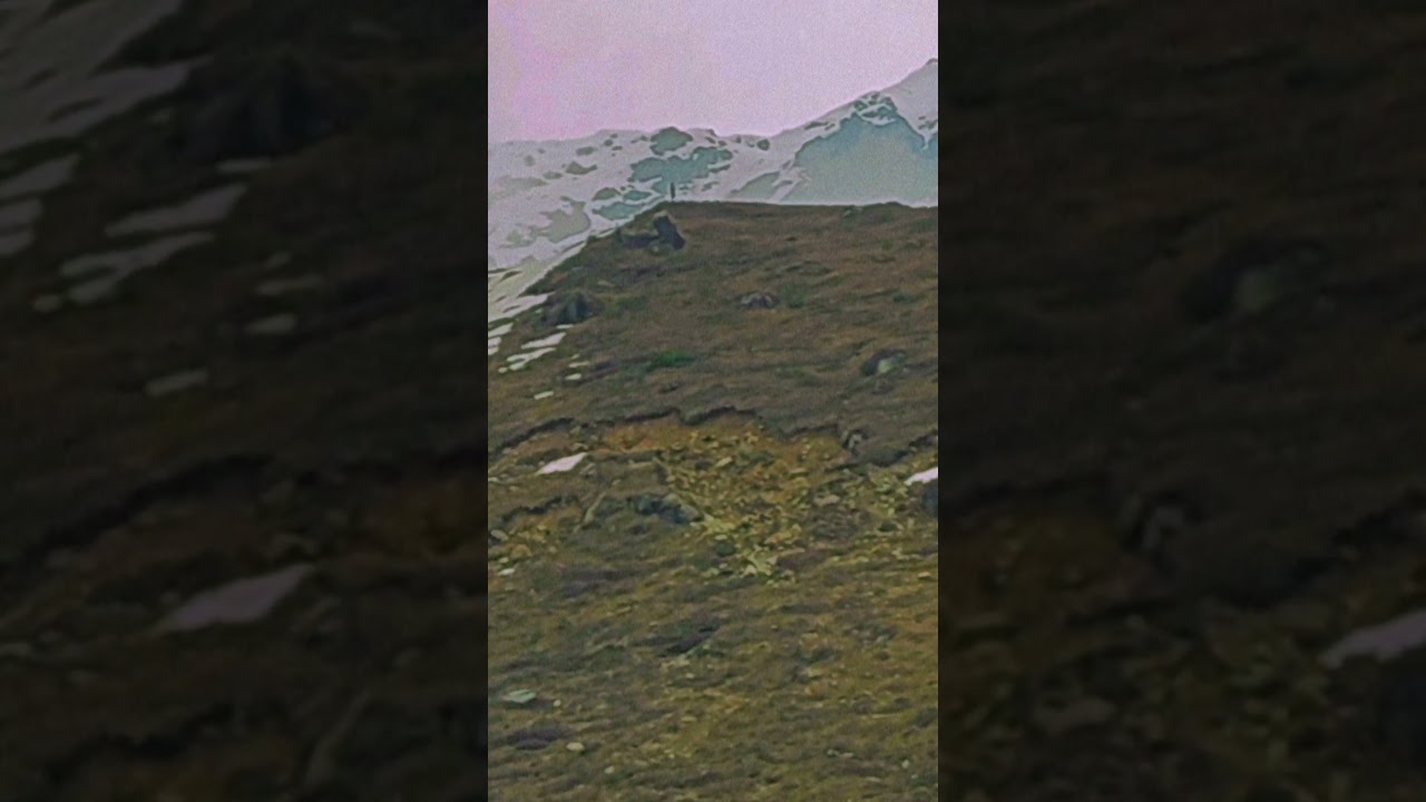 बाबा केदारनाथ में दर्शन का अद्भुत अनुभव ✨