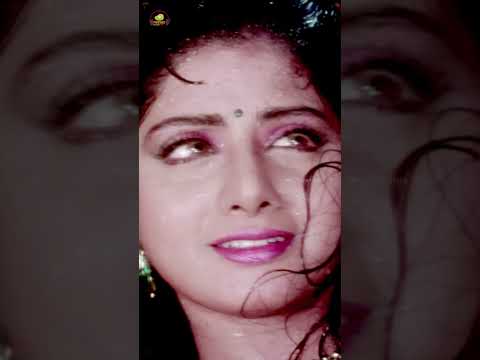 Kshana Kshanam Movie | Ammai Muddu Song | Venkatesh | Sridevi | RGV | #YouTubeShorts | Mango Music