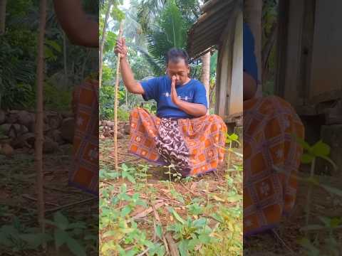 Mau ketawa takut dosa video lucu bikin ngakak hiburan warga +62 #funny #comedy #lucu #trending #meme