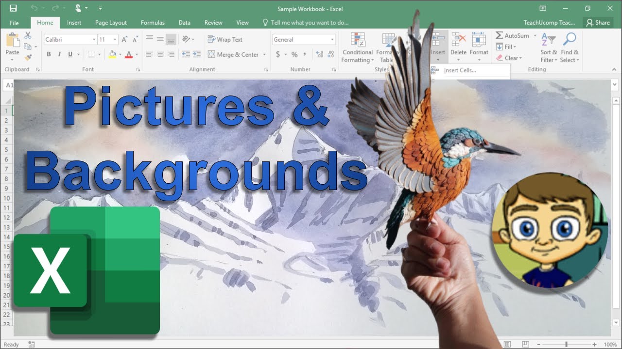 Add Pictures & Backgrounds to Excel 📊