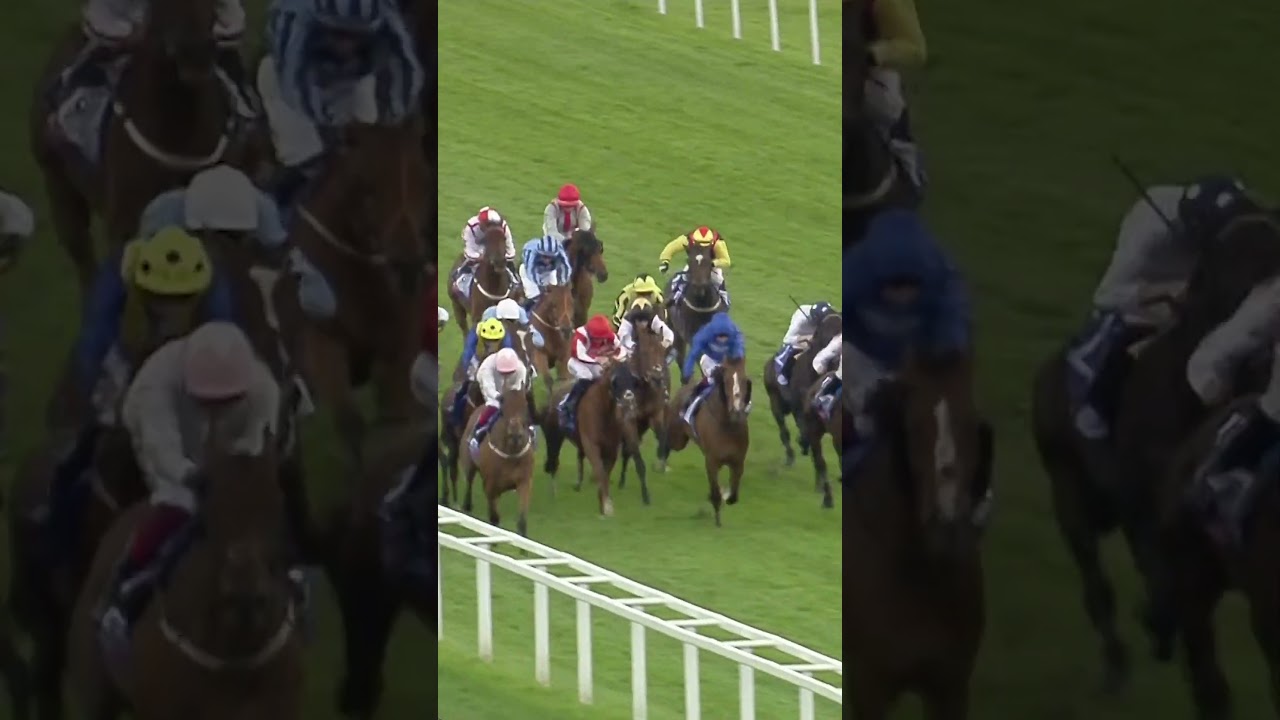 Ebor Winner Absurde Joins Melbourne Cup 🏆