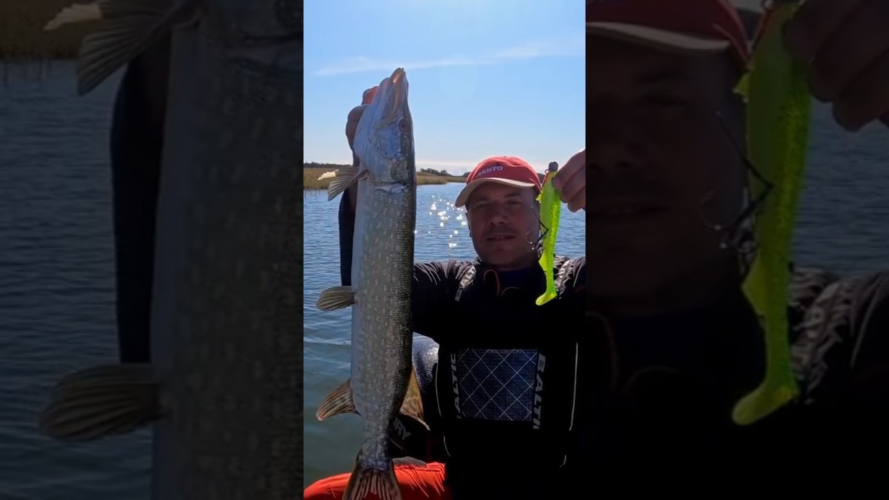 Лучшие приманки на щуку 2021: ТОП-выборы рыболова 🎣