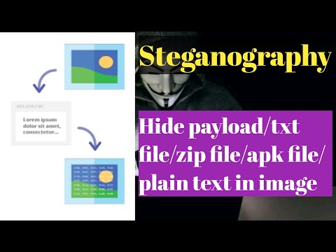 Hide any file inside an image || Steganography ||BD DORK