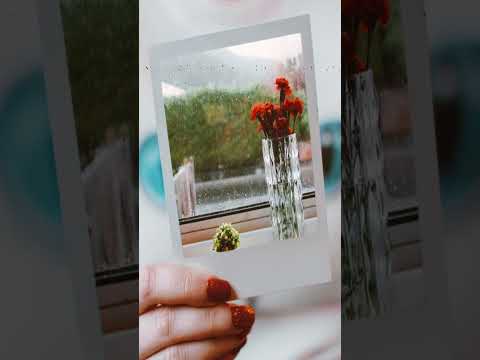 #comptiasecurity #comptiacerts #comptiaexam #comptiaexampreparation #comptia #steganography