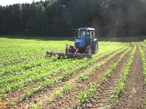 LS Traktor U60 mit Maishackgerät an Pauli Fronthydraulik