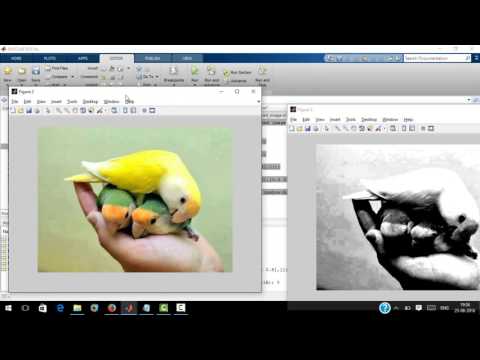 image pre-processing using matlab.