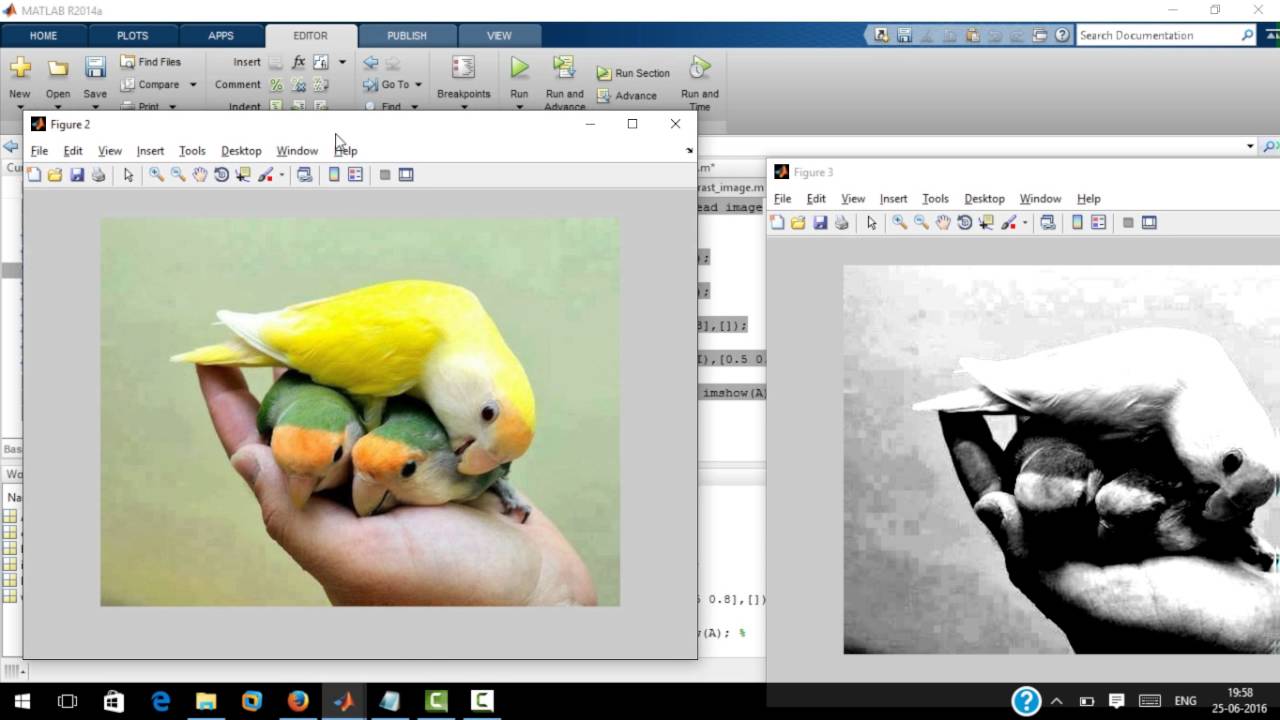 Image Pre-processing Techniques Using MATLAB: Spatial and Frequency Filtering