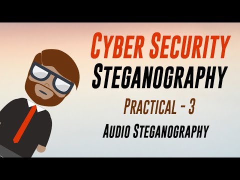 Cyber Security : Audio Steganography : Practical