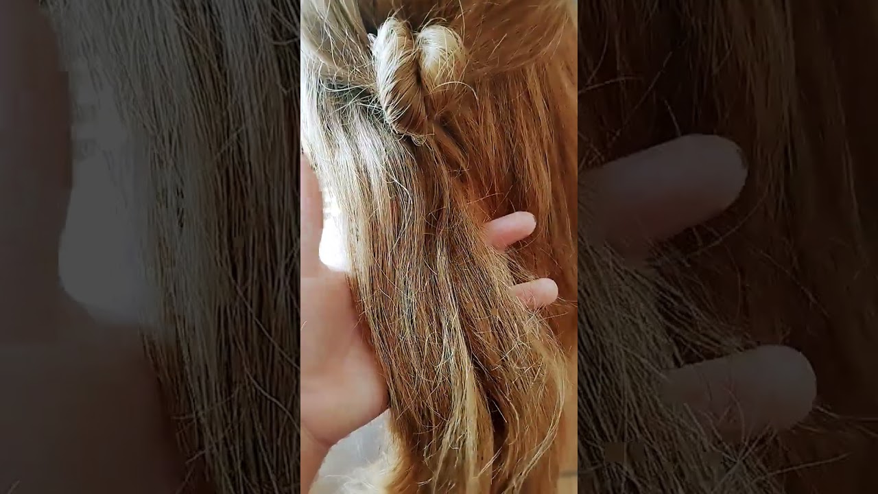 Tuto pour Coiffer la Tête Facilement