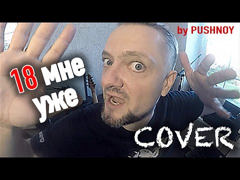18 мне уже! 👊😁🎸 METAL cover by Pushnoy