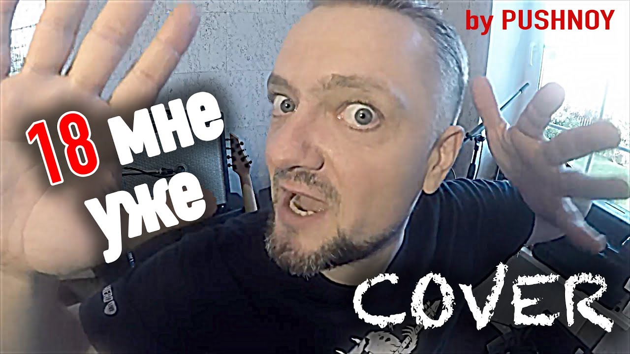 18 Pushnoy's Metal Cover of '18 Мне Уже! 👊'