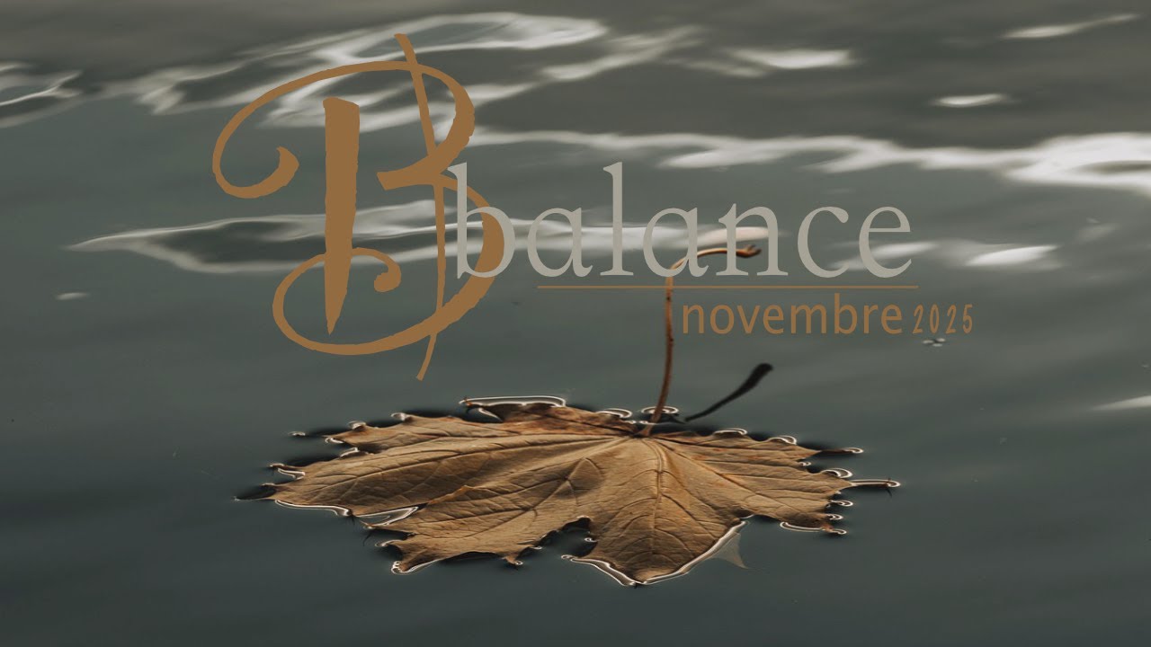 Balance Novembre 2025 : La Grande Conclusion à Rédiger ✍️