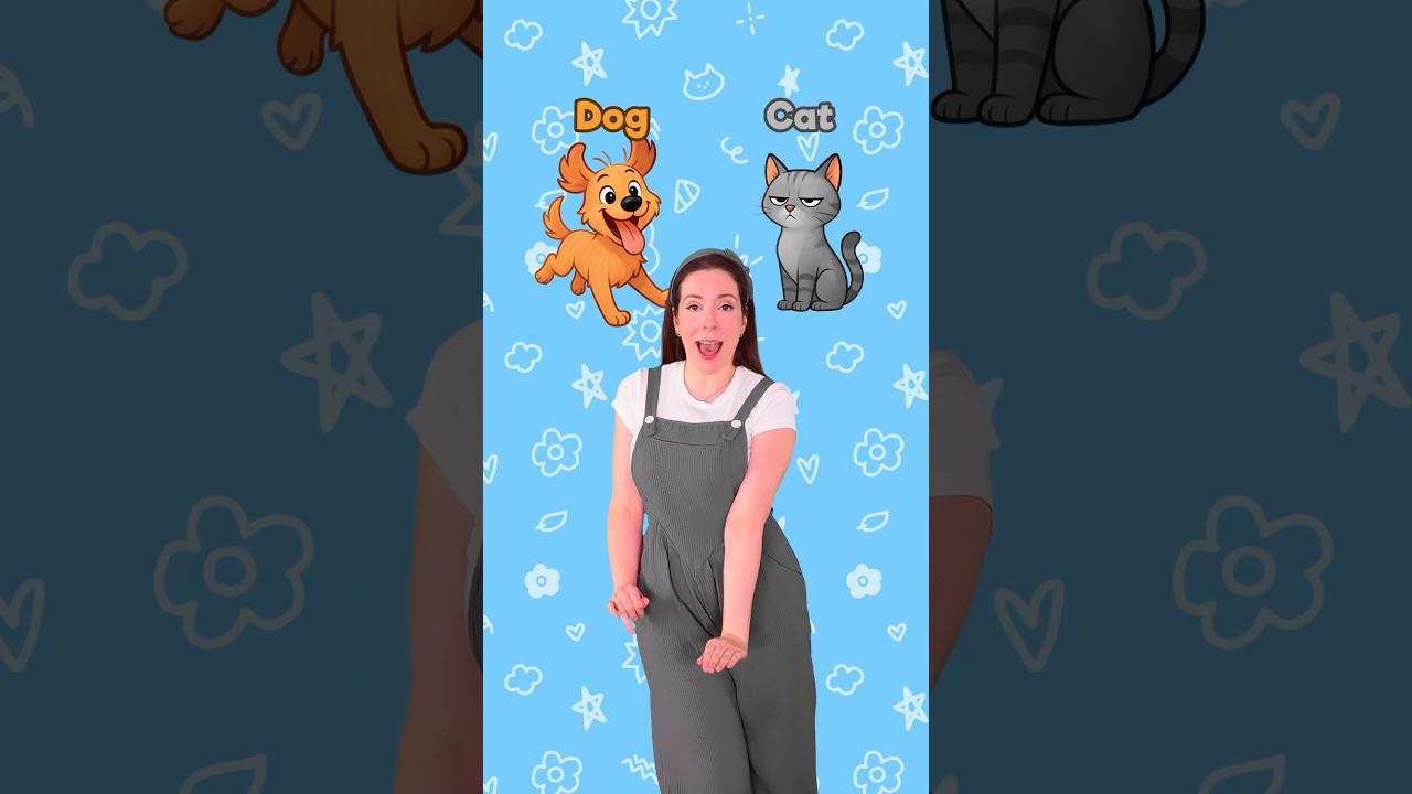 Les Contraires en Anglais Faciles pour Débutants 🇬🇧