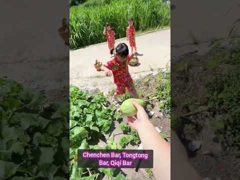 Hu family triplets new vlog 🤩 trip to the village#goingviral #hufamily #hutriplets#chinese #triplets