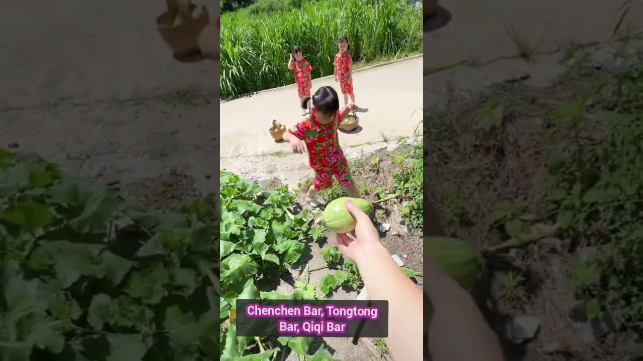 Hu Family Triplets Explore the Village 🏡 | Cute & Funny Moments!