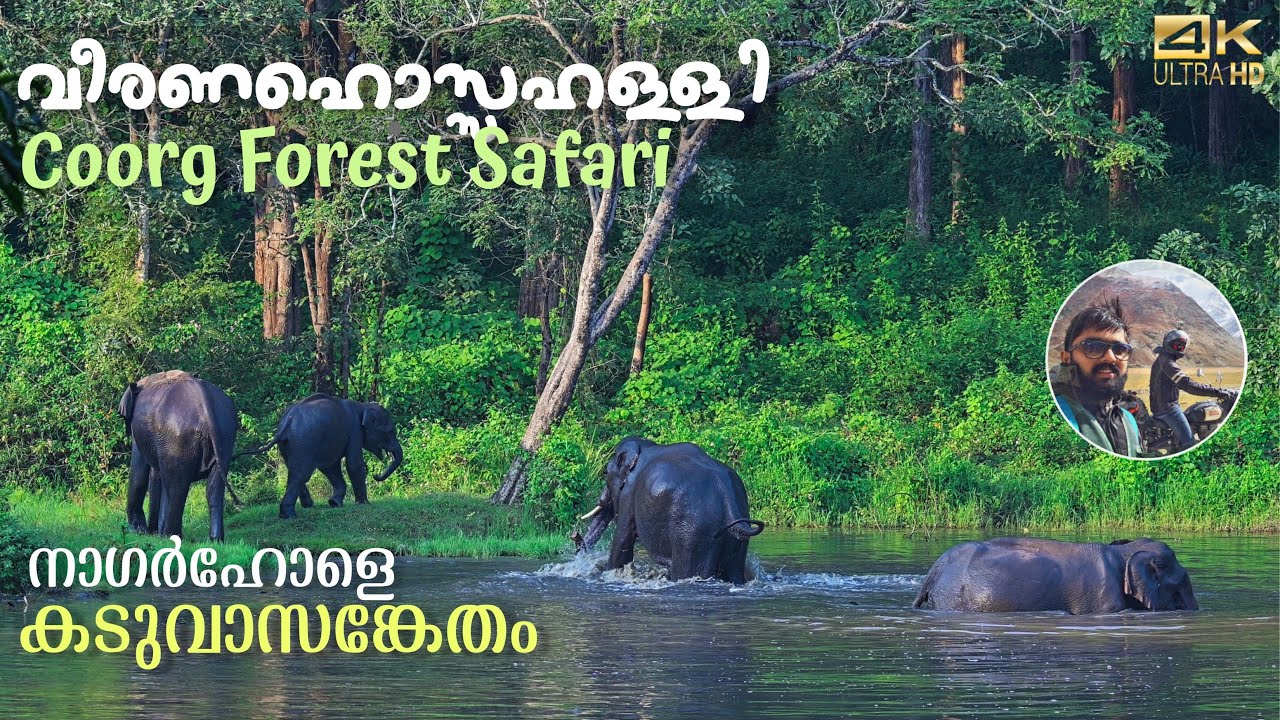Coorg Forest & Veeranahossahalli Safari in Nagarhole 🐅