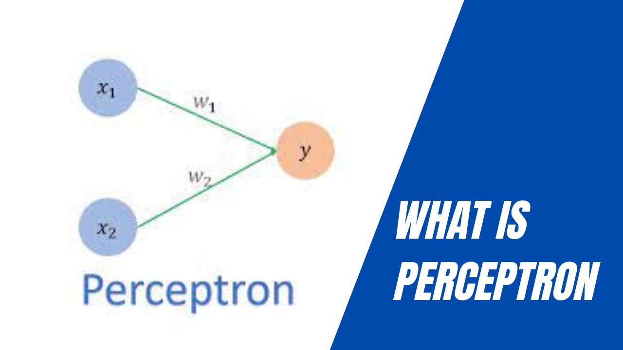 Perceptron: Basic Neural Network Model