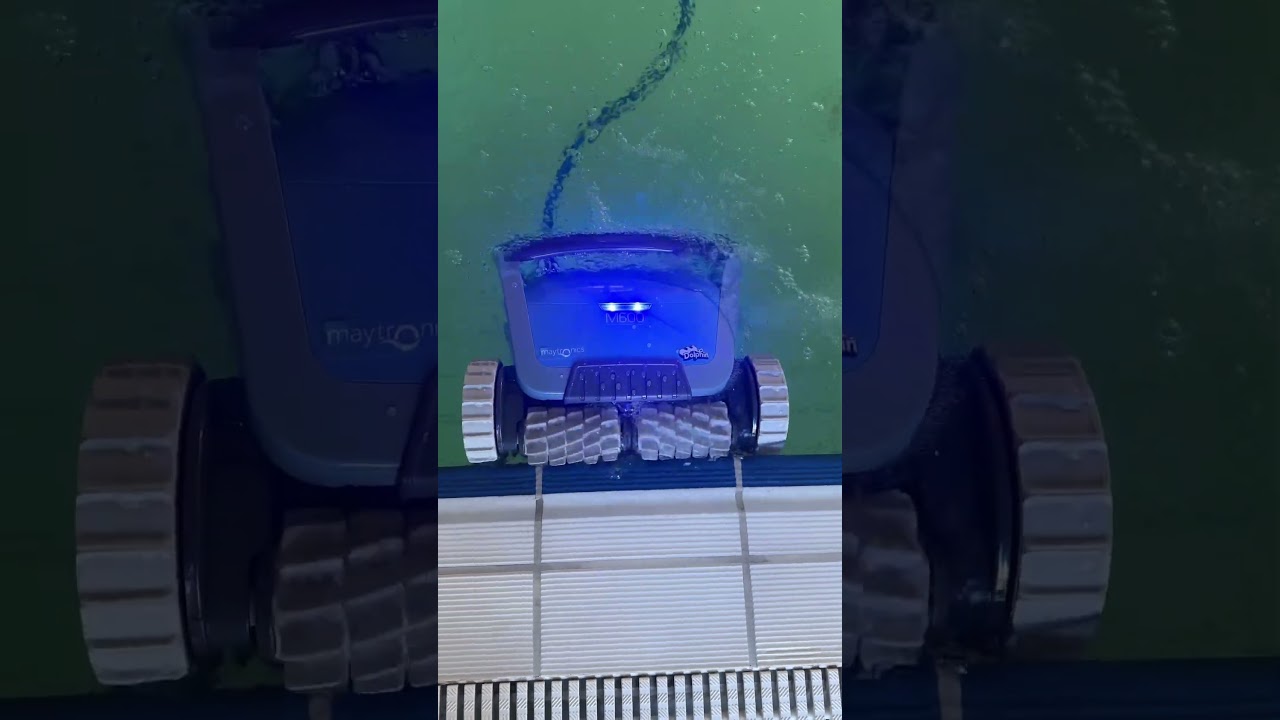 Watch the Dolphin M600 Pool Robot Effortlessly Clean Edges 🏊‍♂️