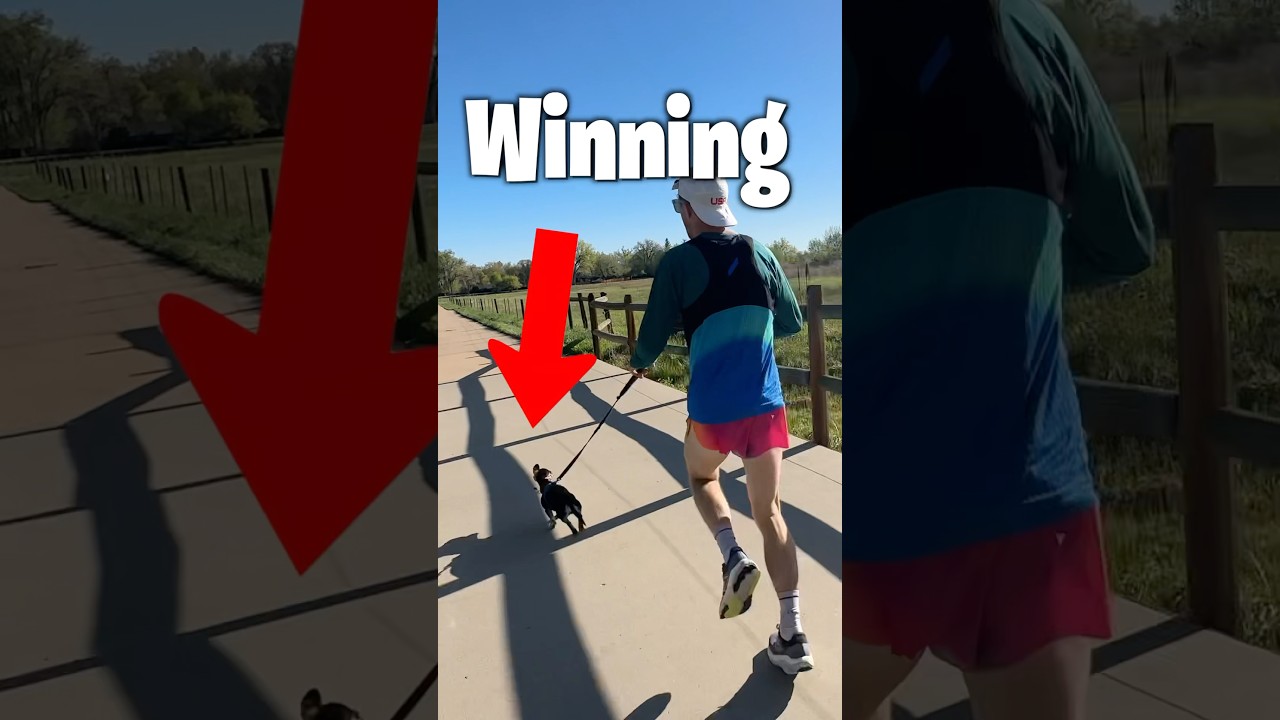 Can Tiny Dog Win a 5K Race? 🐕