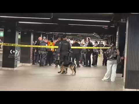 Man shot by police after allegedly stabbing 2 people at Grand Central