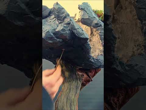 Cedrus Libani - Cedar of Lebanon cascade / landscape