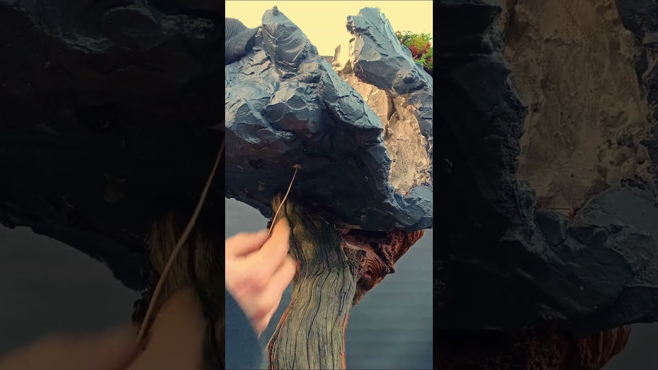 Stunning Cedar of Lebanon Cascade 🌲 - Perfect for Elegant Landscapes and Bonsai Art