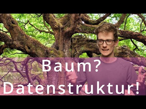 Bäume als Datenstrukturen - Eine erste Einführung