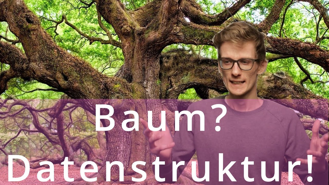 Bäume als Datenstrukturen: Die Grundlagen verständlich erklärt 🌳