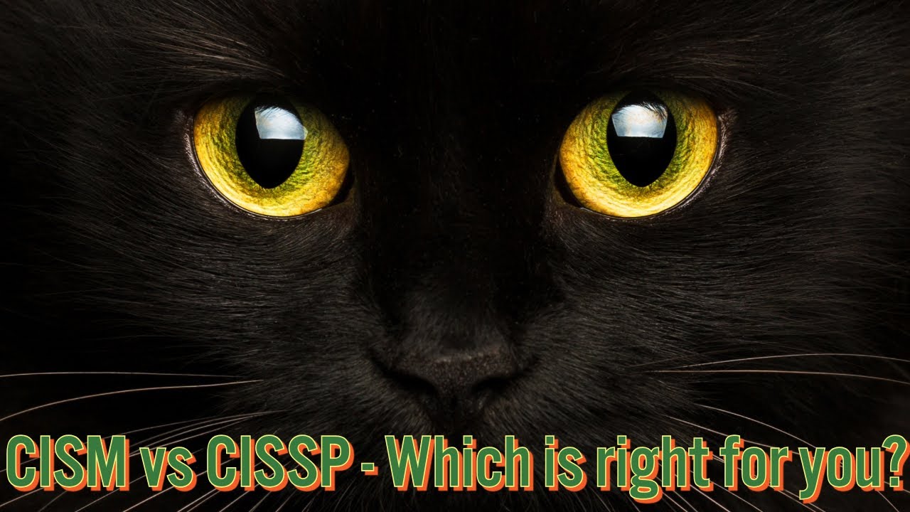 CISM vs CISSP: Find Out Which Certification Fits Your Cybersecurity Career 🎯
