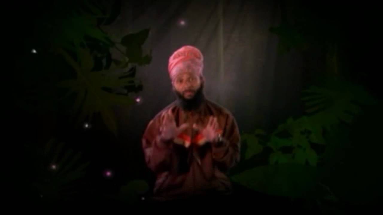 Fidel - International Love 🎶 Official Music Video