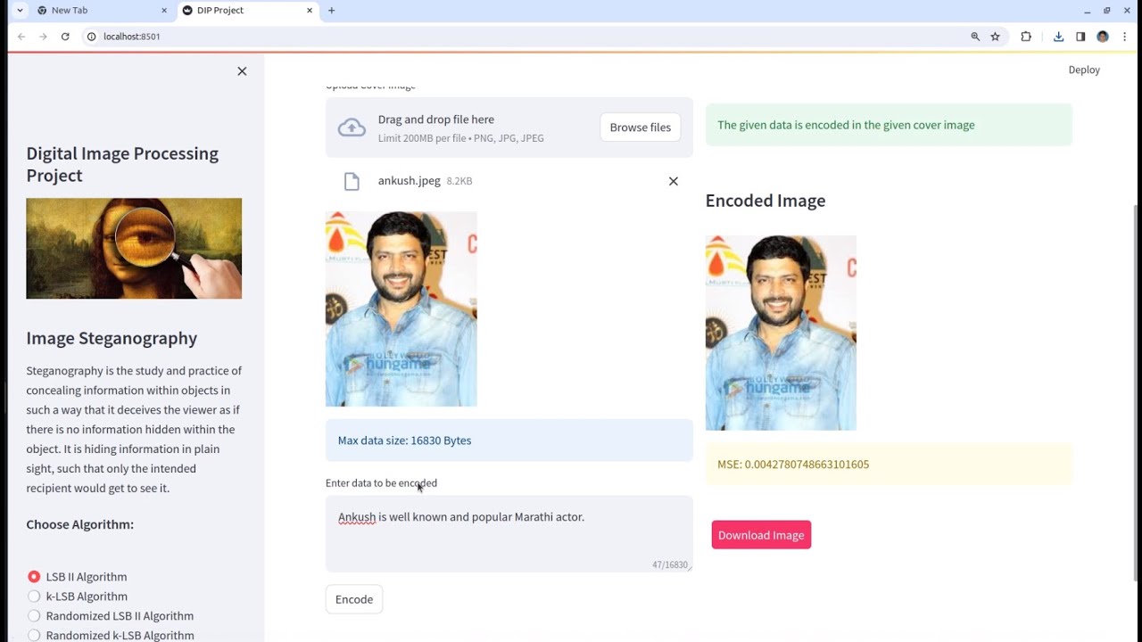 Secure Your Data with Python Image Steganography & Streamlit App 🔒
