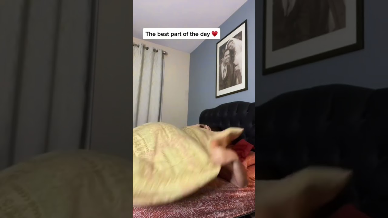 Top Shorts of 2022 with 103.1M Views 💖