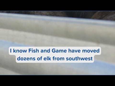 Idaho Fish and Game relocate dozens of elk from Emmett to the Panhandle
