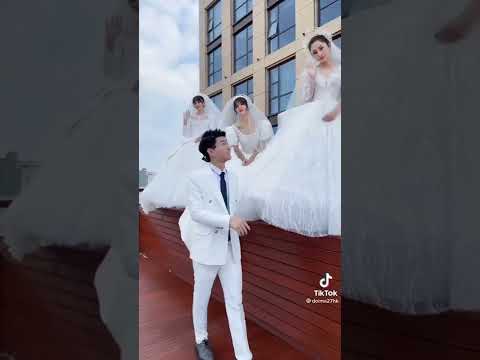 clip triệu view tiktok .có bao nhiêu cô dâu trong bức hình