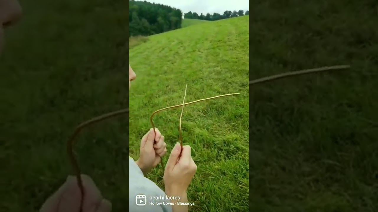 Discovery of Water Using Dowsing Techniques