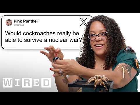 Entomologist Answers Insect Questions | Tech Support | WIRED