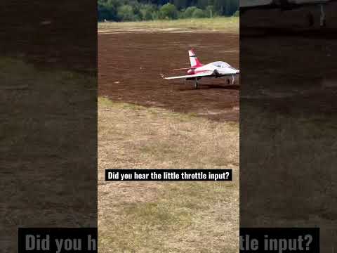 Almost too short landing…saved it 😰 #viper #eflite #rcplane #90mm