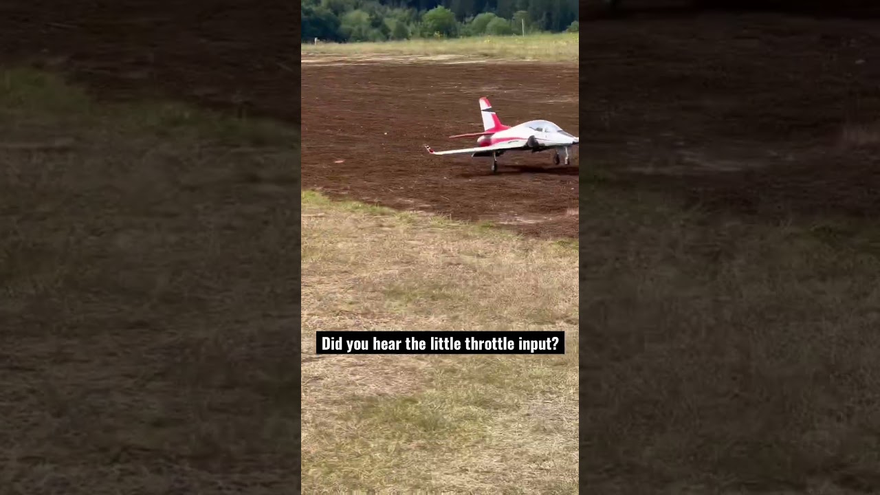 Narrow Escape with My RC Plane ✈️