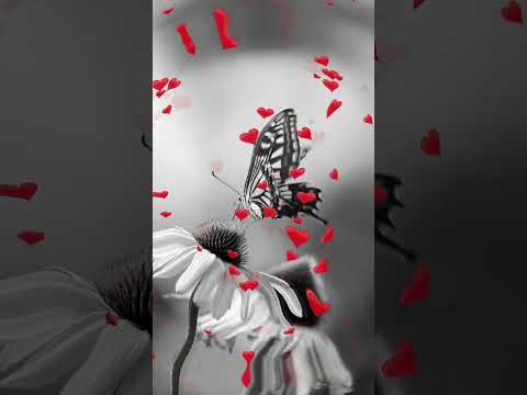 ИСТОЧНИК ВОЛШЕБНОЙ МУЗЫКИ #shorts #music #beautifulmelody