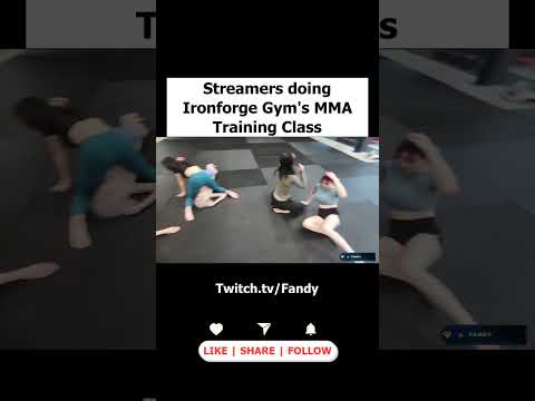 Fandy - Streamers doing Ironforge Gym's MMA Training Class