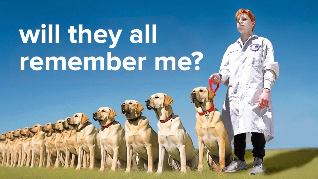 I Cloned My Dog 🐶