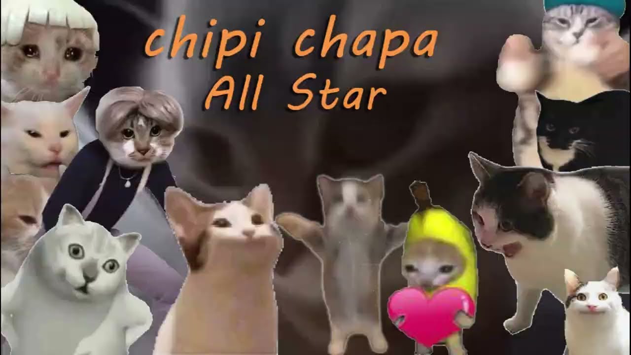Chipi Chipi Chapa Chapa: Cat Meme All-Star Season 🐱