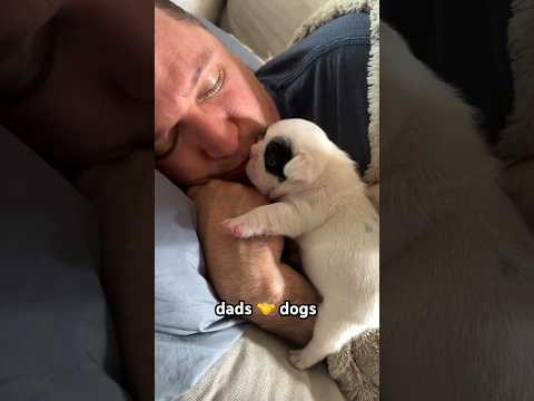 Dad and Dog: How it Started vs Now #dogs #puppy #father #doglover #familyvlog #funny #pets #dog