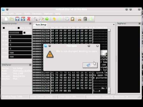 Steganography with BMP Image Files