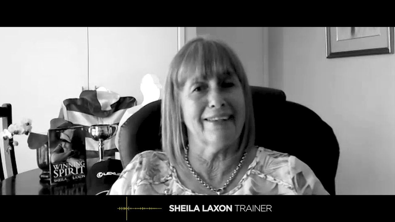 Road to the Cup - 2020 Lexus Melbourne Cup 🏆