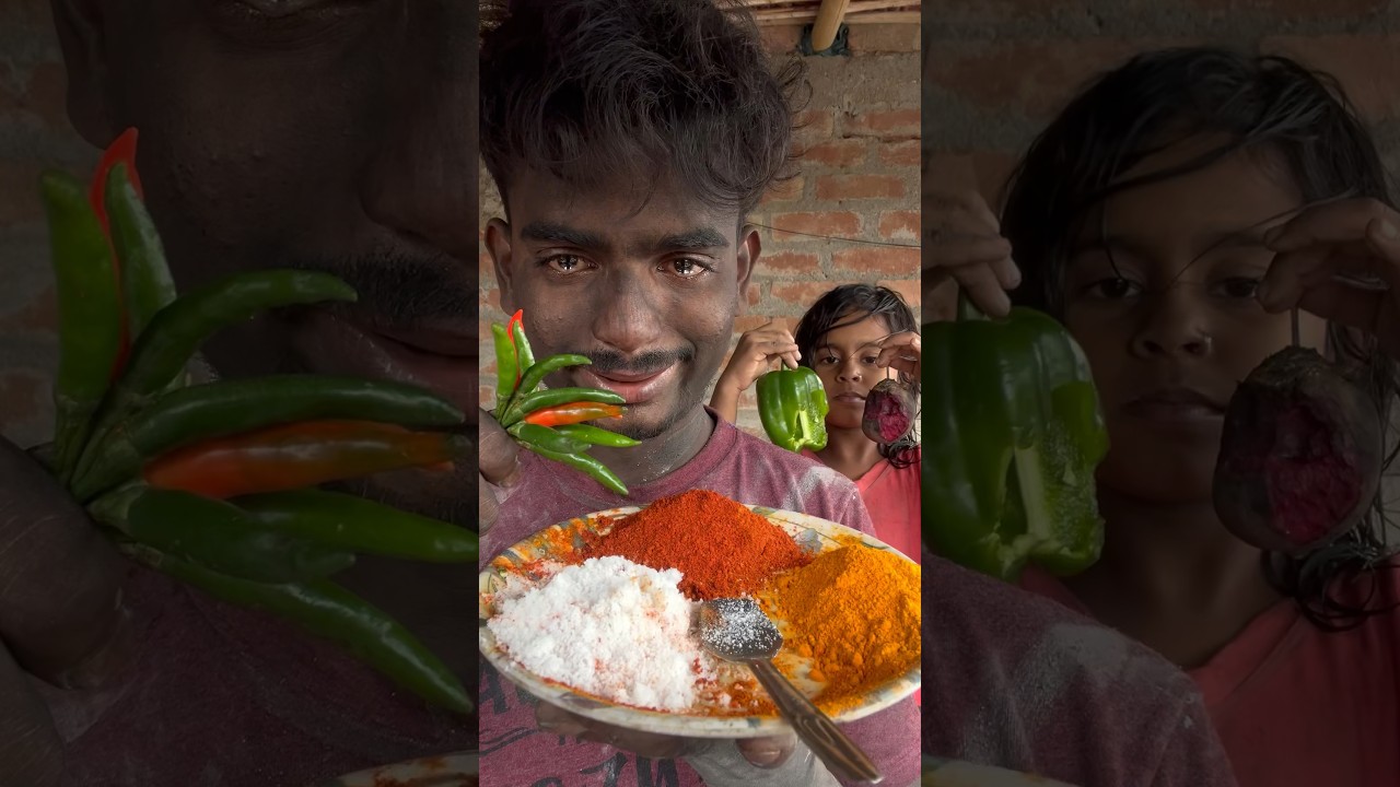 Highlights of 2022 🎉