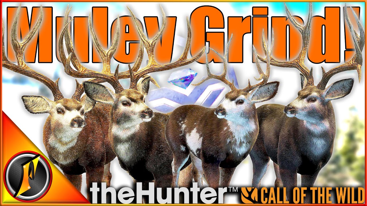 Diamonds Abound in Mule Deer Grind! β¨
