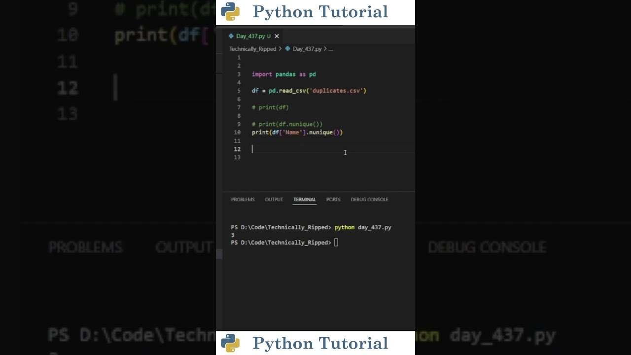 Count Unique Items in Pandas DataFrame 🐼