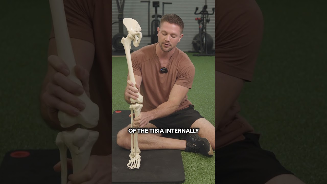 How To Fix Inner Knee Pain in 1 Easy Exercixe
