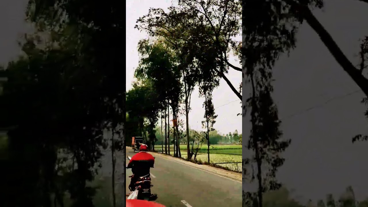 Scenic Roads of Northern Bangladesh